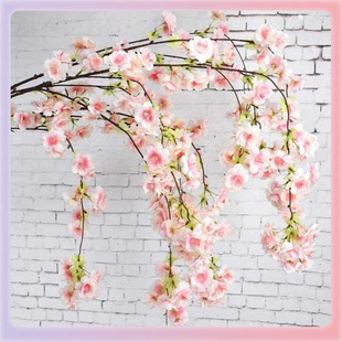 ?���ѻ�֦4�3��滨�һ��ѻ���֦��c�bٻ����l