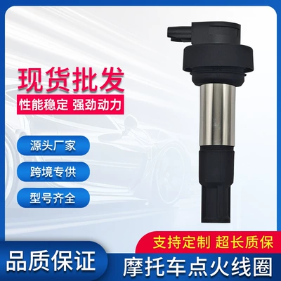 Suitable for Bmw High-Voltage Package Ignition Coil 12137722679 Motorcycle Accessories Cross-Border Manufacturers Spot Wholesale