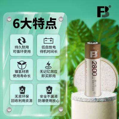 Fengbiao Rechargeable Battery 2800 Hibrid akkumulyator batareyaları