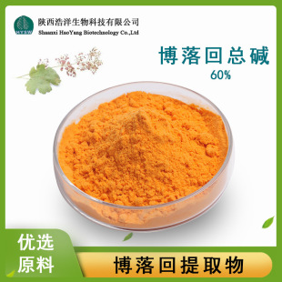 ����ؿ��|60% �������ȡ�� Ѫ���|40%�����˼t�|20% �S��ֱ��
