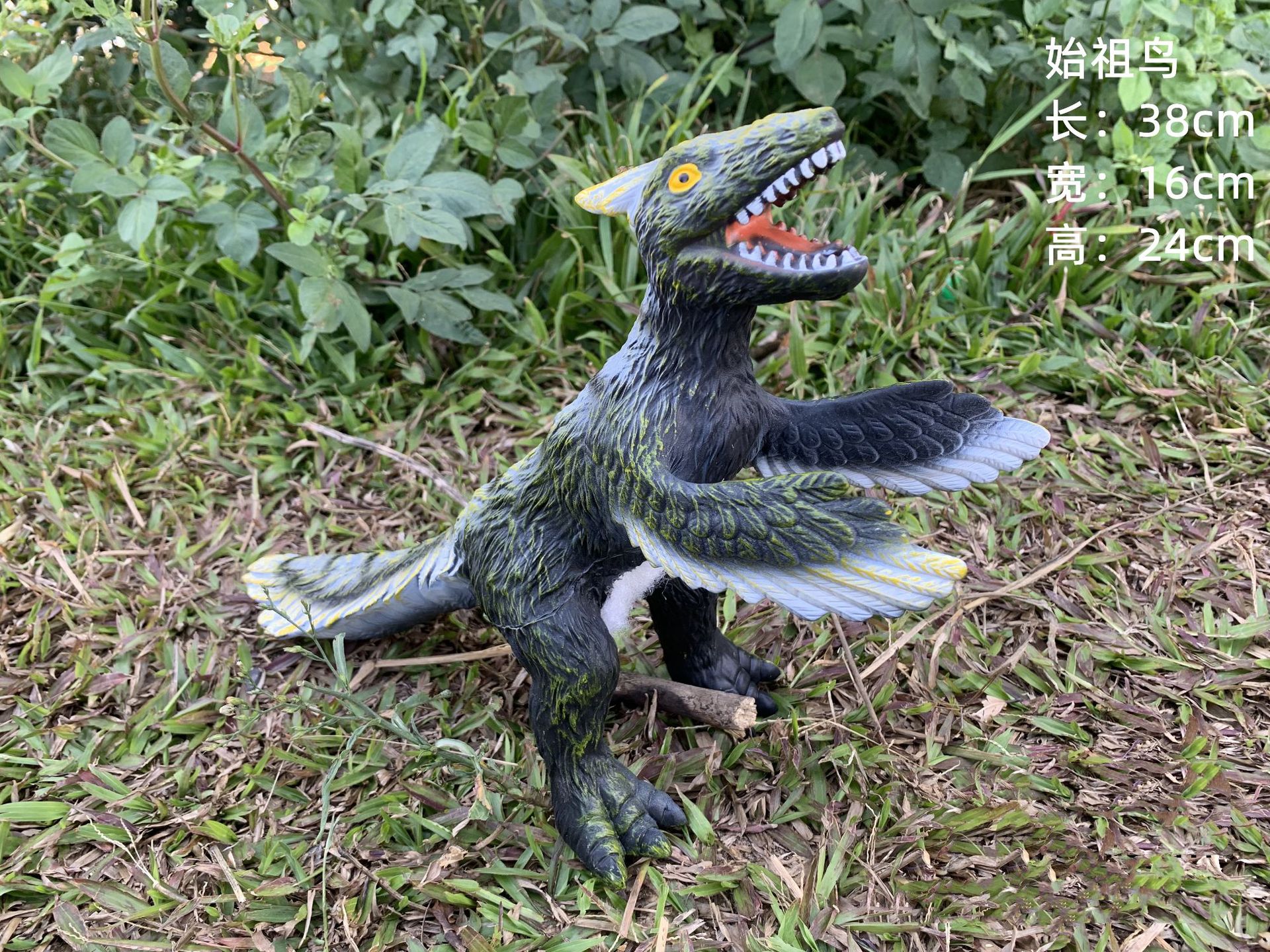 The ancestor Bird in the new style