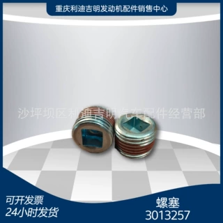 k19 k38发电机组配件 Nt855 发动机零件 螺塞3013257