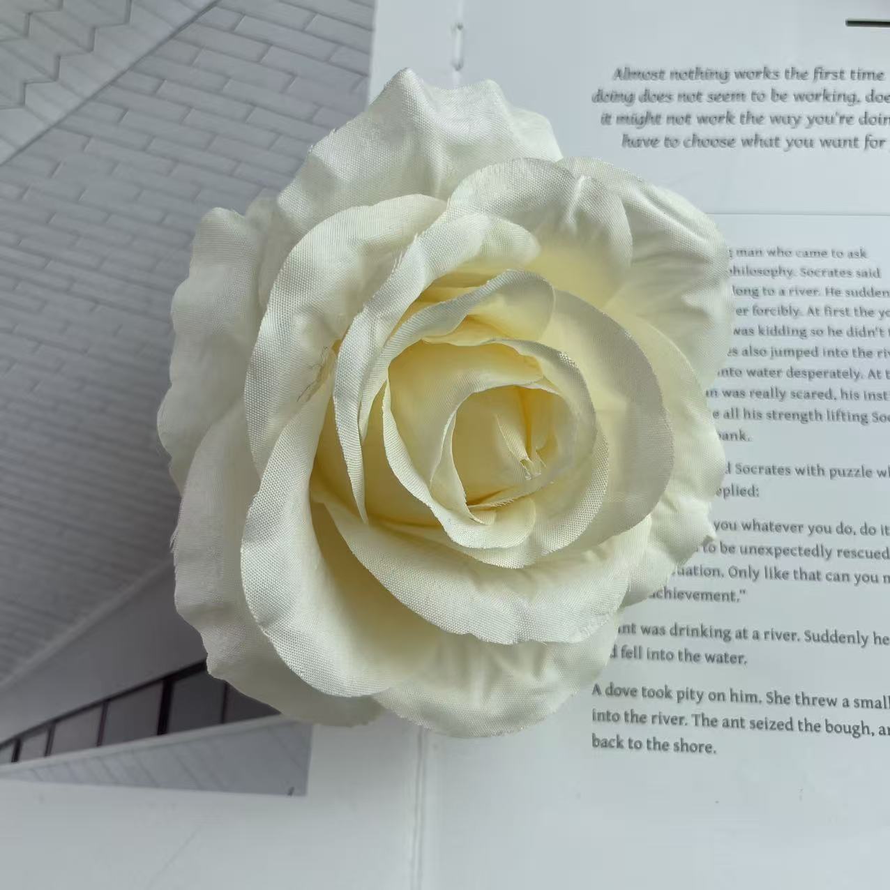 Anna gran rosa cabeza de fábrica al por mayor flowerhead flower corona flower pared flower arrangement artesanía DIY