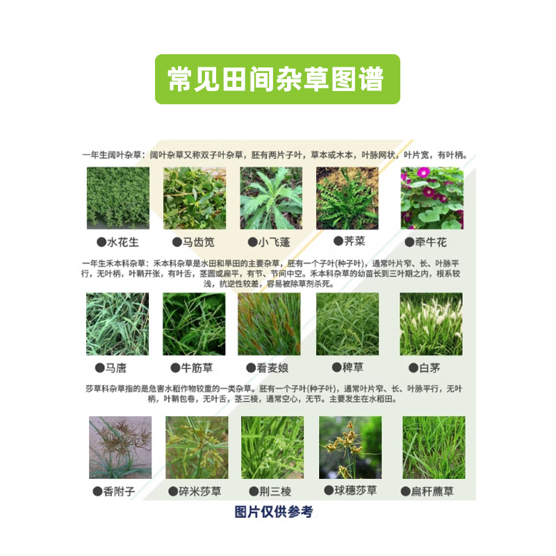 1688江天旷腾图三