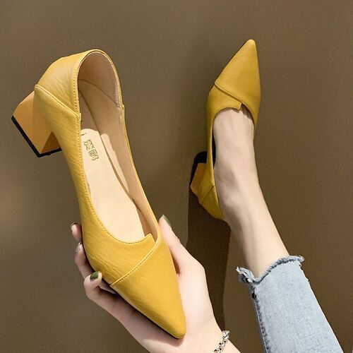 Summer Pointed Toe Thick Heel Women's French Pure Color Versatile Lift Shoes Unique Personality Women's Shoes