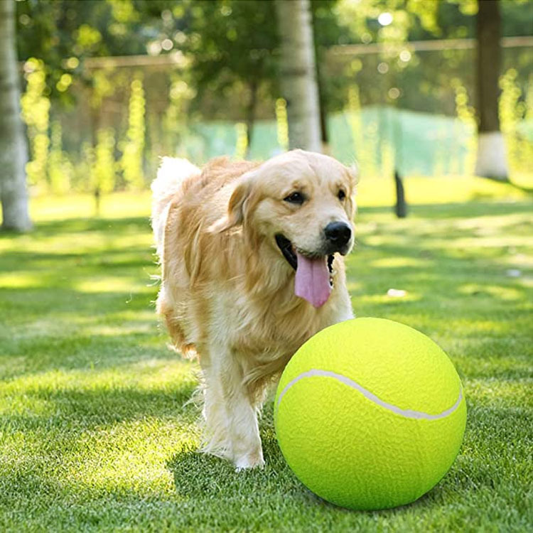9.5 inch tennis 24cm inflatable tennis pet toy ball training ball ten times happy ball manufacturers wholesale