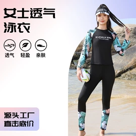 连体泳衣;比基尼;泳裤