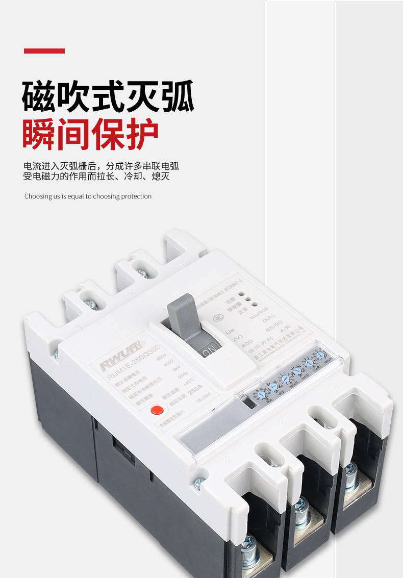 RUM1E-250-3300塑壳断路器_03