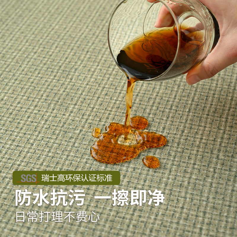 2025新款客厅绿色地毯奶油风免洗轻奢高级感免打理地垫防水防污|undefined
