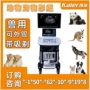 徐州b超猫狗宠物b超仪