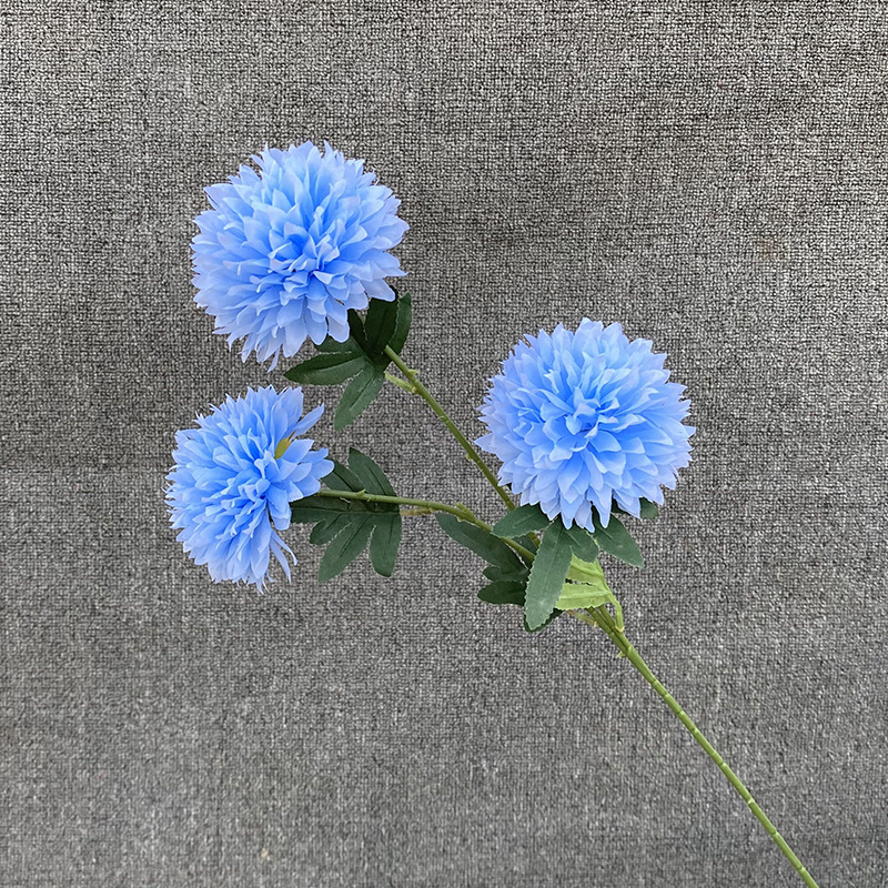 3-pronged dandelion blue