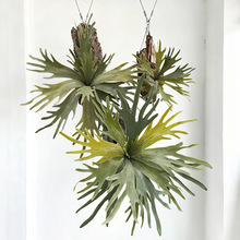 �������ֲ��¹���~ާ�~�����廨�����P��ڒ�Ꭷ���B�����쾰