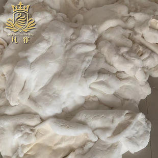 �S�����lƤ��ԭ���o�ϫH��Ƥ�F؛�������l���۷��bë�I�ӹ�ԭ����