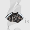 4th generation leopard print shorts