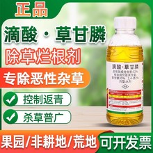 ����ݸ�좳��݄��������������s�ݠ������rș����ݹ��@���݄�