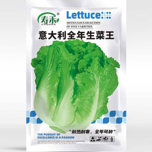 ������_�R���˷N���ļ����������r���̨�N���ѷN�߲˷N�ӷN��