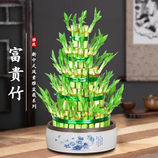 ���F��ֲ��ˮ�B�͏d��ؔ���Թ�������������Gֲ�k�����B�ͶY�辰