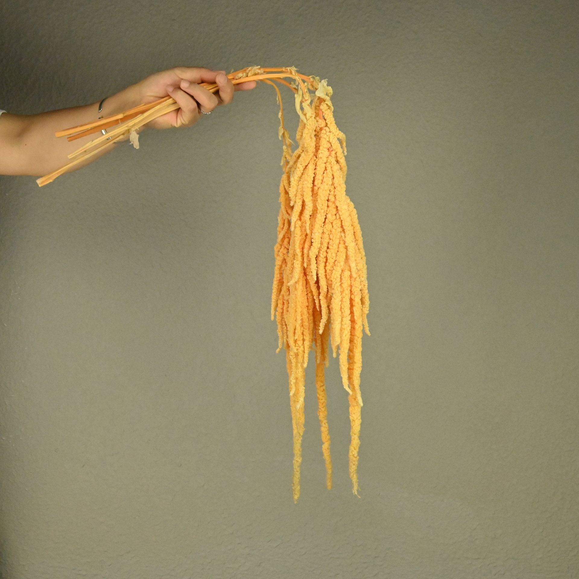 Flores fantasmas colgantes de arroz flor inmortal Juliet Amantes lágrimas colgantes de flores de decoración de bodas flores verdaderas