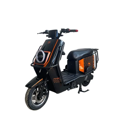 travel vehicle for adults, Elektrikli motosikletlər