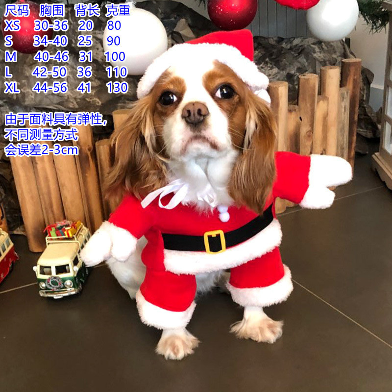 크리스마스 복장