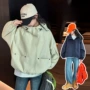 儿童外穿女孩女童拉链衫