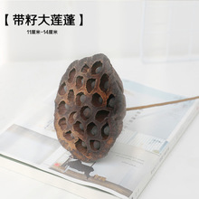 insWLȻɘ֦ɹˇgɘ֦ԭBȻҾb Ĕz