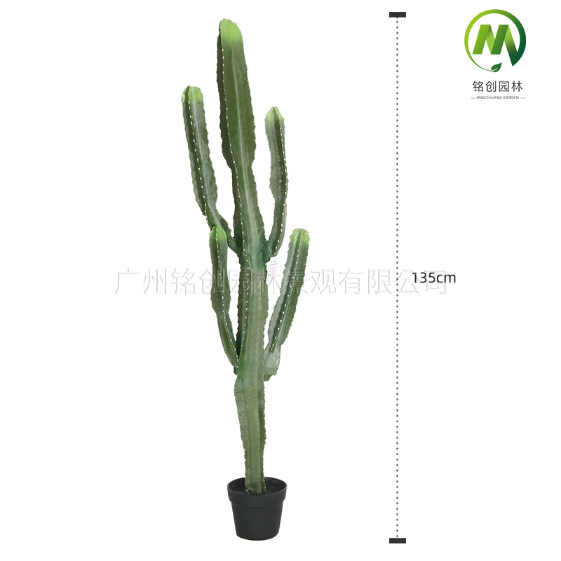Decoración de paisajismo de plantas falsas en el desierto tropical image 19