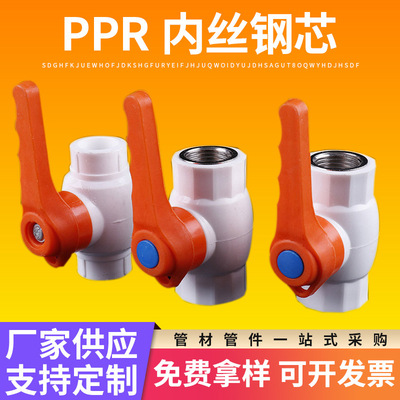 ppr Inner filament Steel core Globe valve Boutique Water pipe parts home decoration Plumbing Globe valve parts Internal thread Thread Globe valve