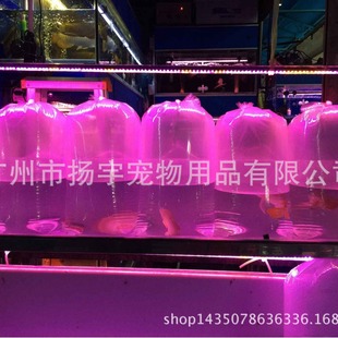 Koi fish shrimp ornamental fish packing bag air consignment square bottom transport packing bag fish bag wholesale
