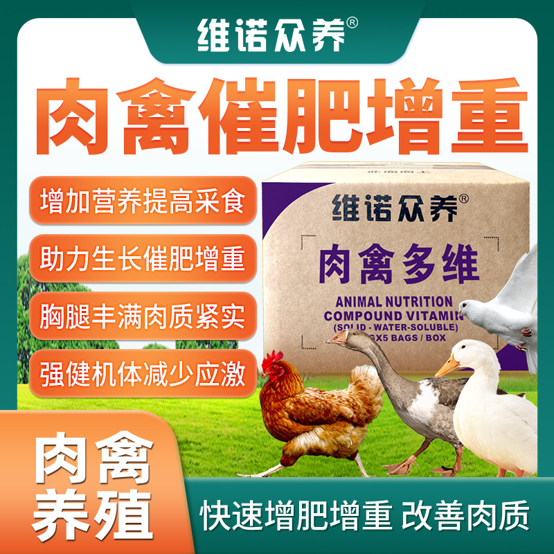 肉禽多维 提高采食量助力生长鸡鸭鹅多种维生素催肥饲料添加剂