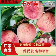 һlҘ޽ӵԎƷNϷNֲشˮ