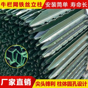 �����F���������F�z�W���ڗUY���T�F���^�� �Bֳ������K��ţ����