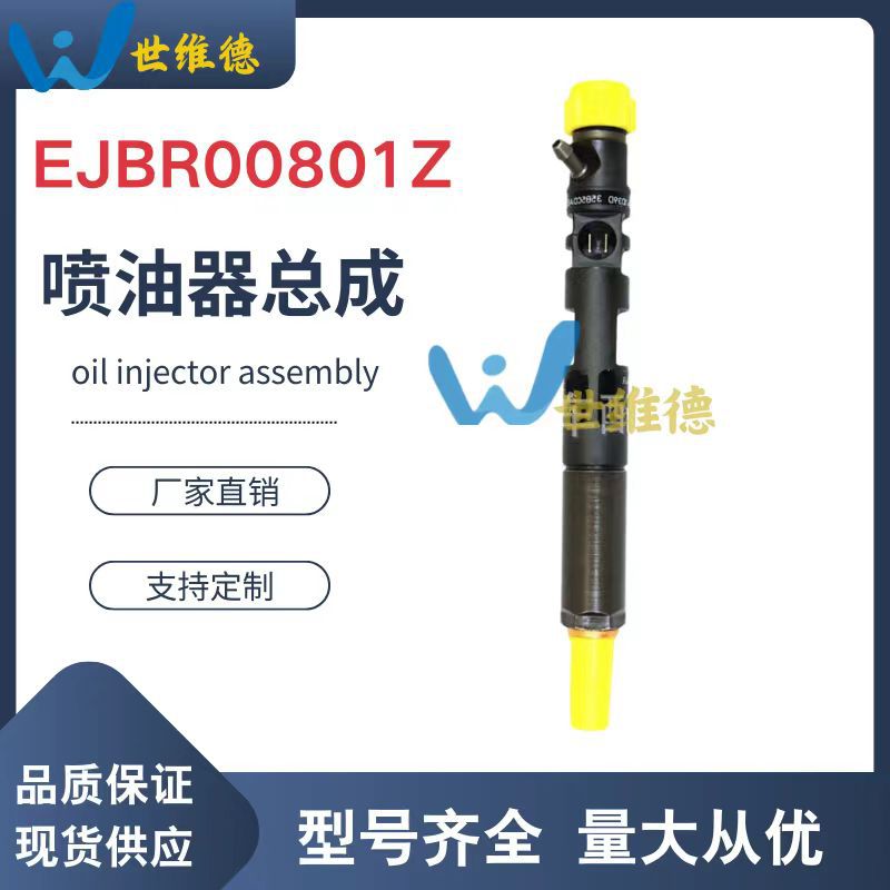 EJBR03701D Diesel Fuel InjecTor 33800-4X800 for Walking Trka 2.9T BranD New QualiTy