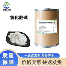 现货批发 氯化胆碱99% 食品级氯化胆碱营养强化剂