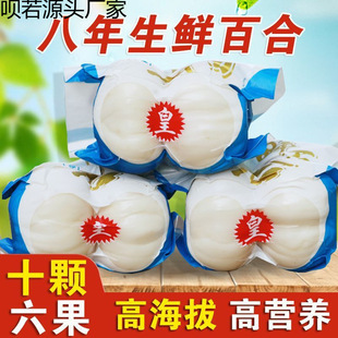 ��؛�m���r�ٺ��m�ݰٺ��r���m�ݰٺ�ʳ����ٺ����r�ٺϸ��C���l