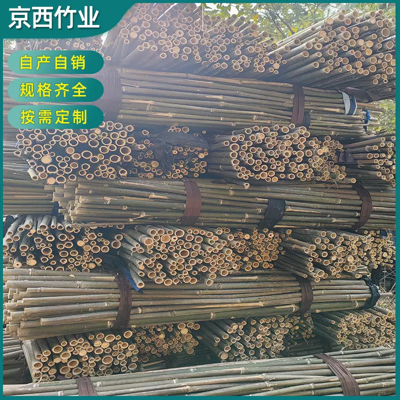 四季竹竿农用种植豆角竿竹黄瓜爬藤架竹杆番茄辣椒支撑杆架条