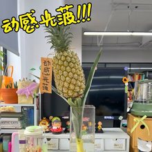 �k���Ҳ廨�й�ˮ�Bˮ���ȹ�λ��ʳ�ò����}�w֮����㽶ˮ��Gֲ