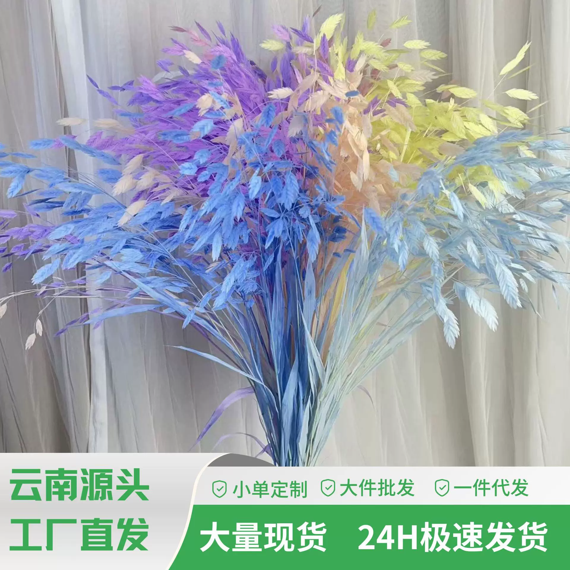 小盼草干花永生花装饰压花材料包diy树叶植物真花云南工厂直发