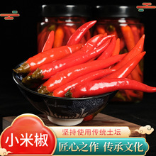 宏昌泡菜四川泡冬海椒眉山泡菜泡椒坛泡辣椒泡海椒小米辣