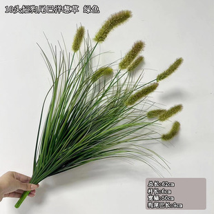 �������[���s����B���^��β�Ͱ����Gɫ���[�ݷ�������ֲ�ﾰ