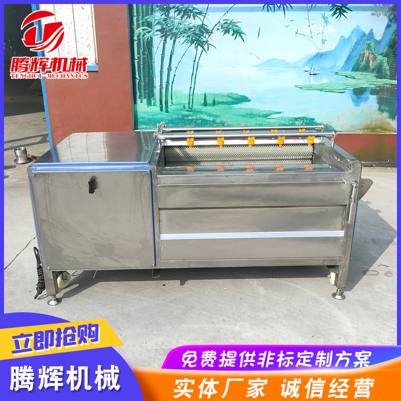 腾辉 大黄清洗机 大黄加工果蔬清洗去皮毛辊清洗机 厂家保修一年