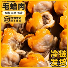 大连毛蚶赤贝肉小毛蚬子非即食净肉真空新鲜海鲜批发鲍鱼散装食用