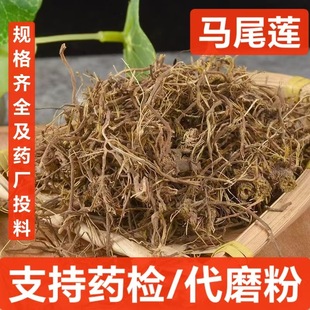 �Rβ�B ��ș�� �Rβ�S�B �Rβɏ�� �S�B��z�Rβɏ ���ɲ� ֧��ș