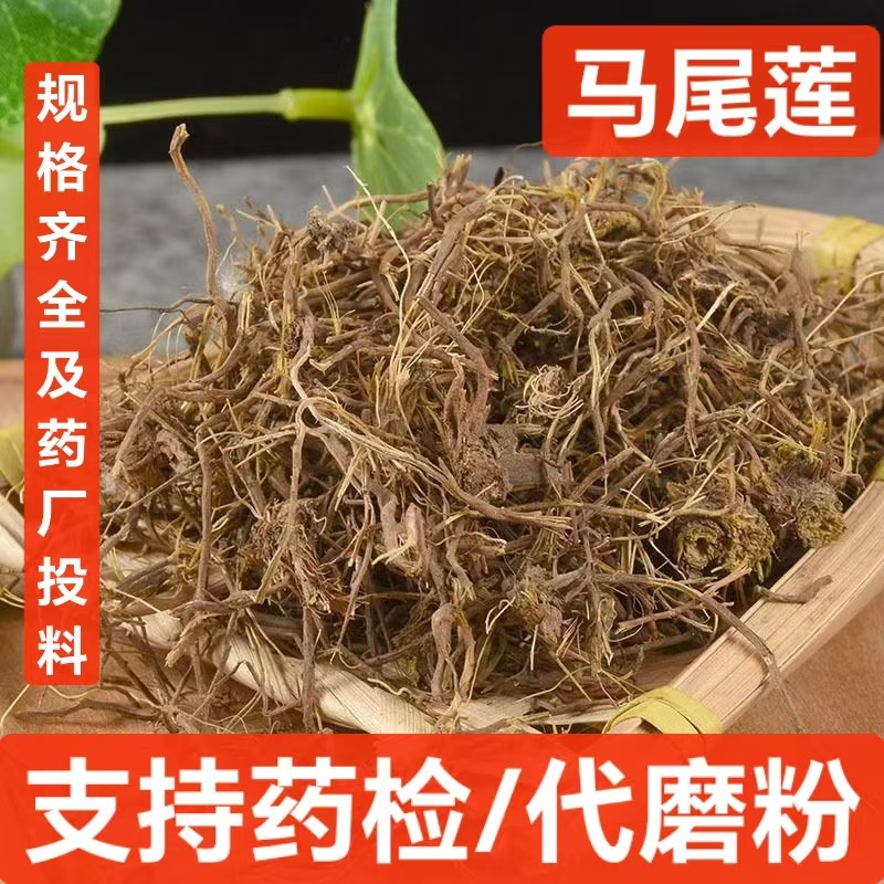 马尾连 中药材 马尾黄连 马尾莲草 黄连金丝马尾莲 唐松草 支持药