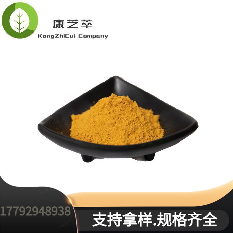 沙棘果粉  沙棘浓缩汁粉   沙棘果粉