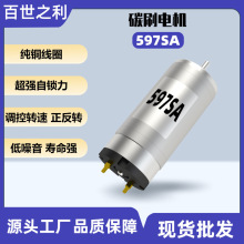 597SA΢ֱp̼ˢ늙C12СR_37mmı늄әCo