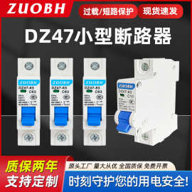 DZ47-63/1P小型断路器空气开关家用C45微断空开10A16A25A32A63A