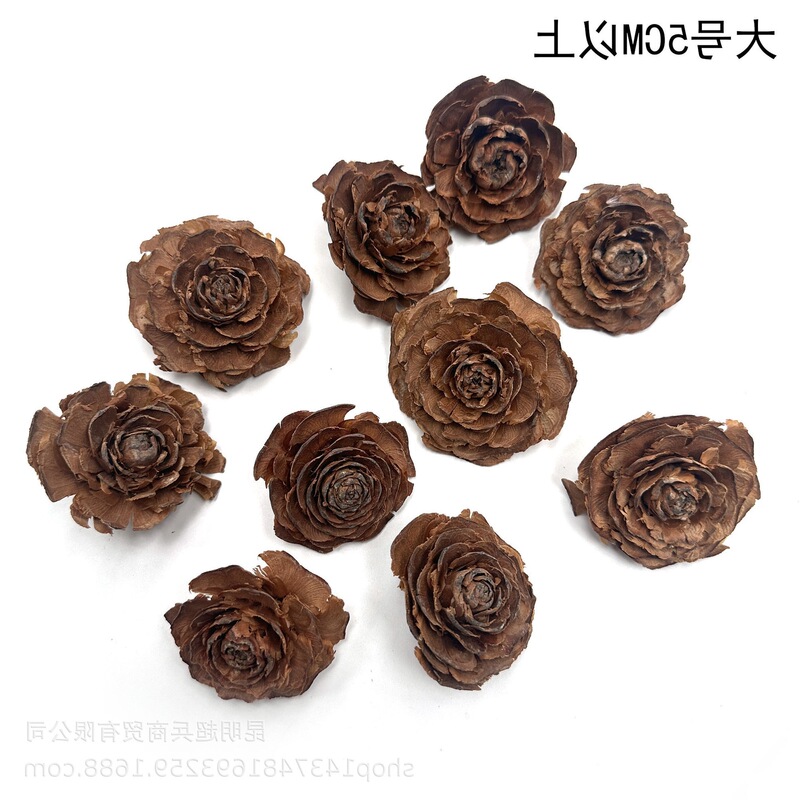 【Wooden Rose】Dried Flowers and Fruits Raw Materials Fruit Aroma DIY Fruit Material Kit Natural Wood Style