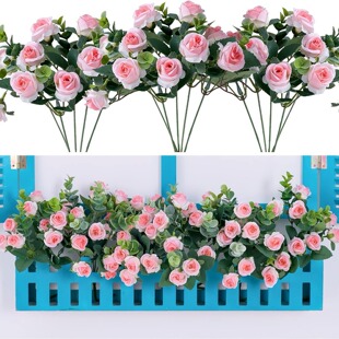 ���R�d  ���滨�ٽz�I 5�^õ���b����컨 ��ͥ��Y�Ɍ��b���