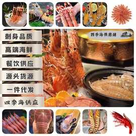 C-0刺身虾拼盘自助餐日式料理鲜活生鲜批发刺身鳌虾甜虾海鲜食材